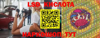 гидропоника Краснодар
