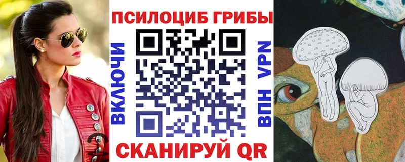 Галлюциногенные грибы ЛСД  где купить наркотик  Кузнецк 