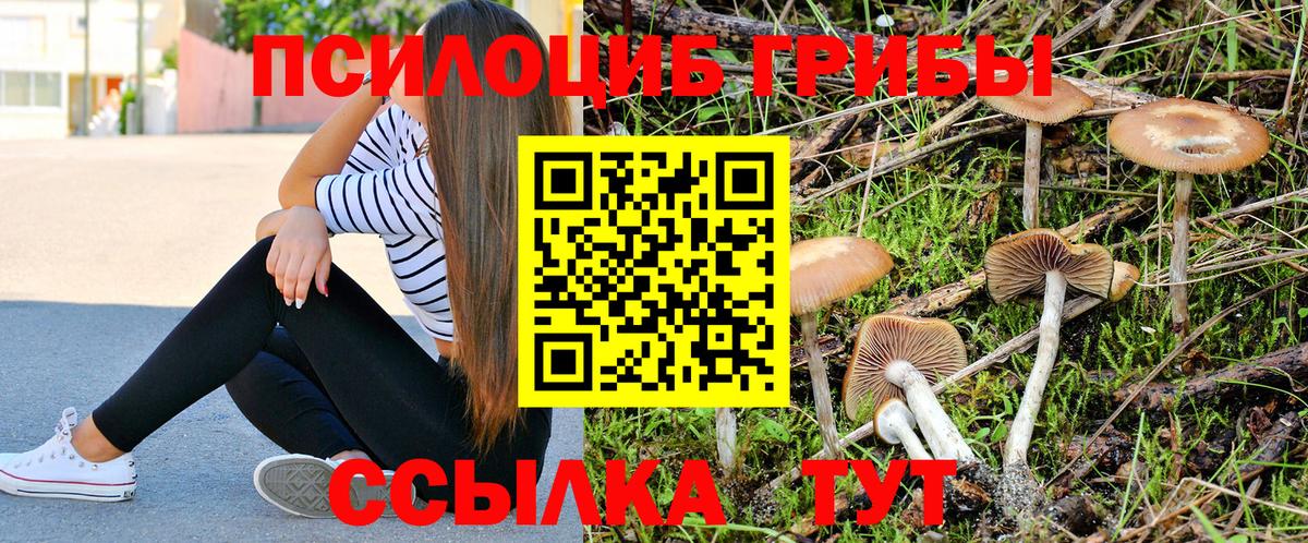 Псилоцибиновые грибы Cubensis  Вход с VPN  Кузнецк  Галлюциногенные грибы прущие грибы 