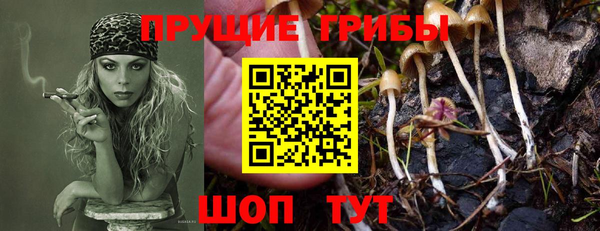 Галлюциногенные грибы MAGIC MUSHROOMS Кузнецк
