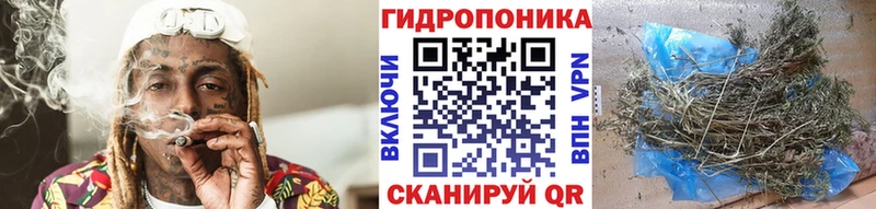 купить наркотик Кузнецк МЕГА маркетплейс Марихуана конопля